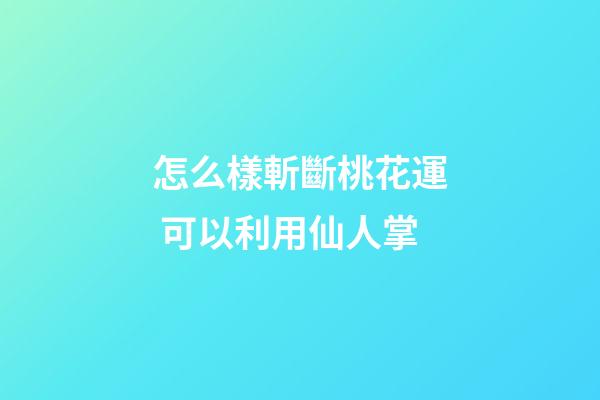 怎么樣斬斷桃花運 可以利用仙人掌